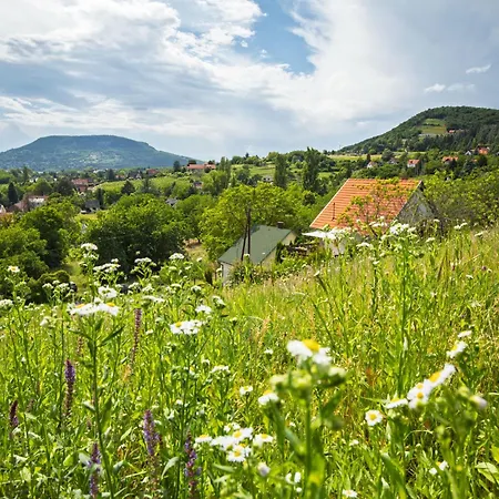 Kopacsi By Interhome Badacsonyörs